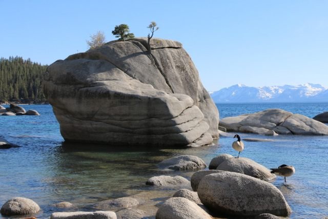 Bonsai Rock (Lake Tahoe, NV)