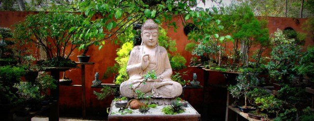 Buddha Statue in Bonsai Garden