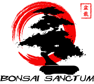 Bonsai Sanctum Main Logo