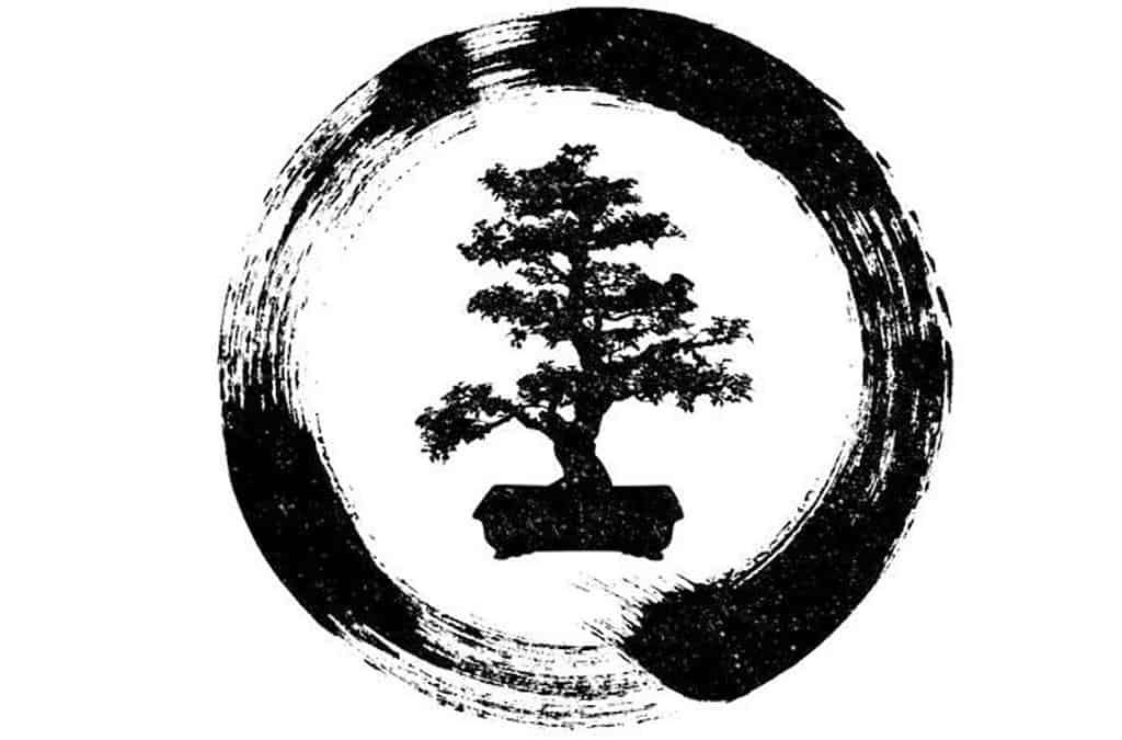 What Does Bonsai Trees Symbolize Bonsai Sanctum